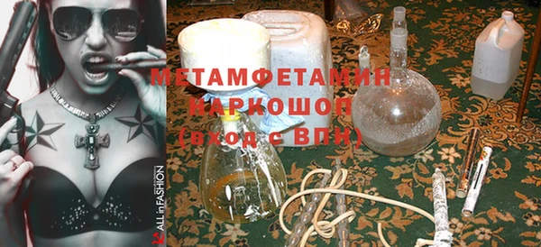прущие грибы Гусиноозёрск