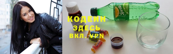 прущие грибы Гусиноозёрск