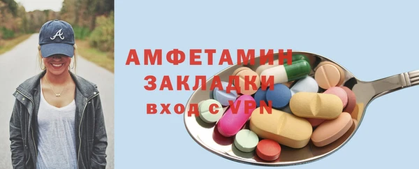 прущие грибы Гусиноозёрск