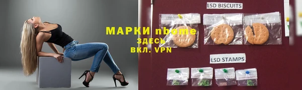 прущие грибы Гусиноозёрск