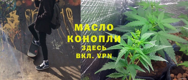 ешки Гусь-Хрустальный