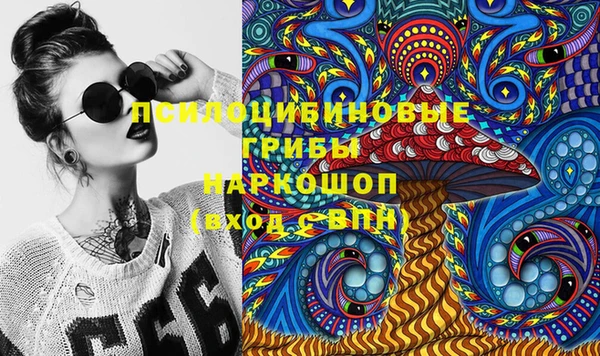 бошки Дмитров