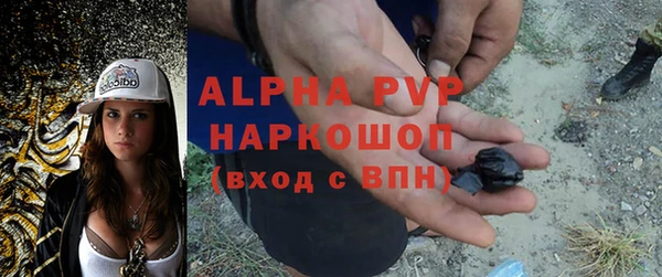 крисы Дмитриев