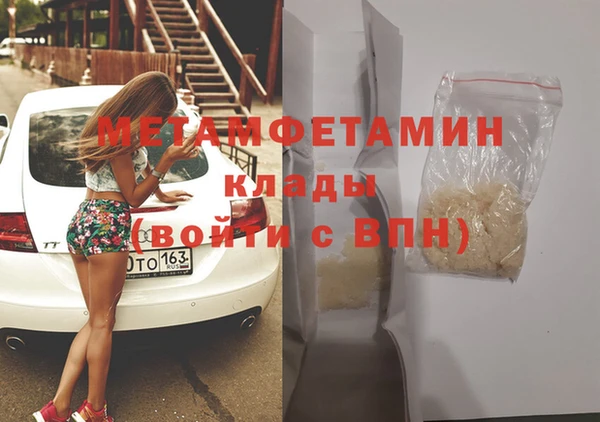 прущие грибы Гусиноозёрск