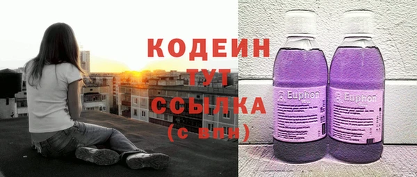 прущие грибы Гусиноозёрск