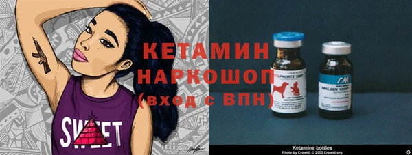 прущие грибы Гусиноозёрск
